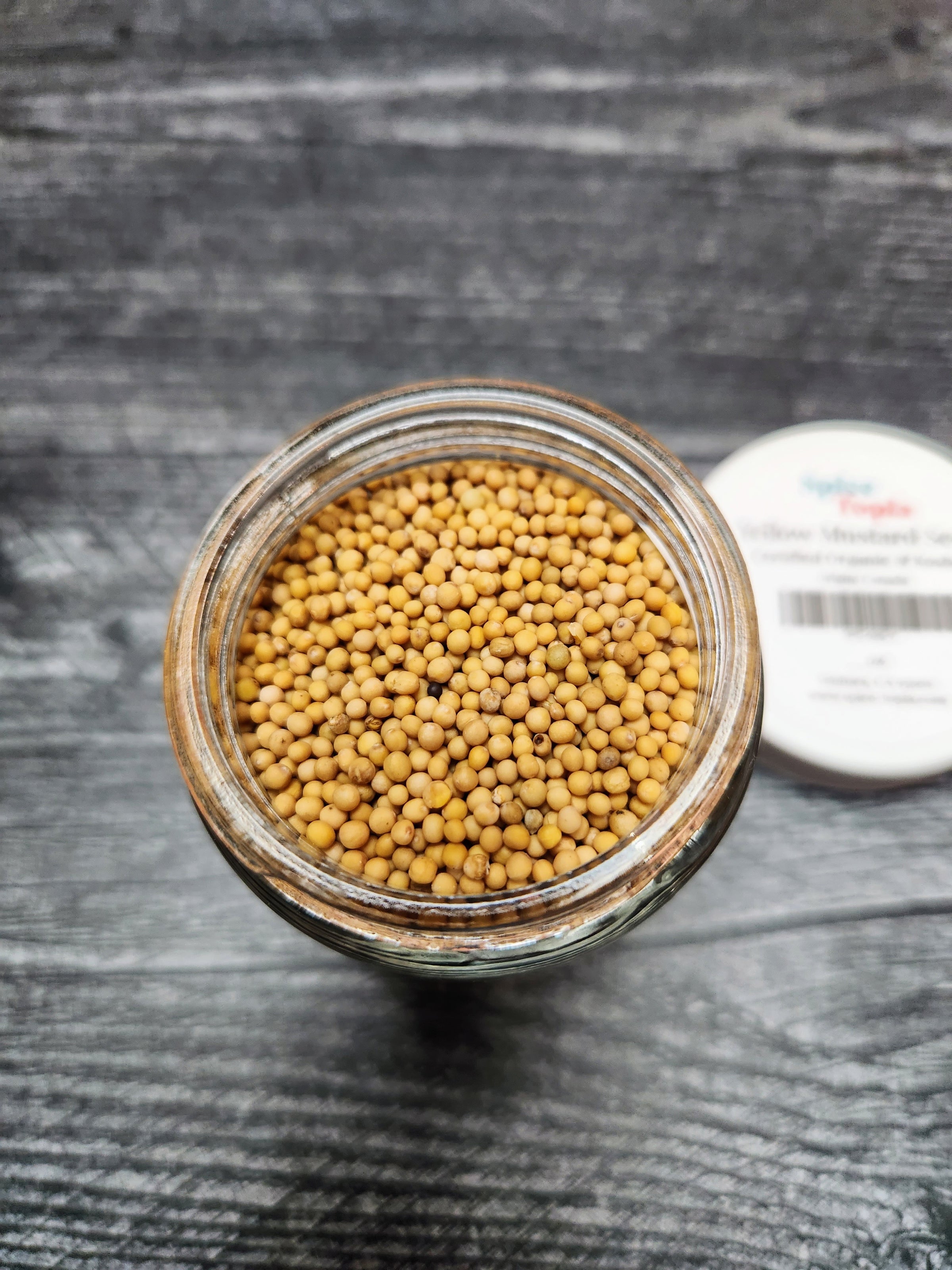 The Mustard Seeds☆Mustard Seeds Amazon.com : Unpretentious Yellow Mustard Seeds (2 Cups